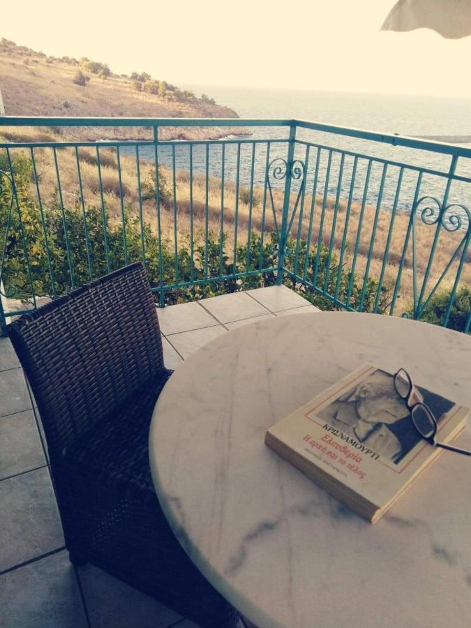 Villa Castle Sea View Parálion Ástros 외부 사진