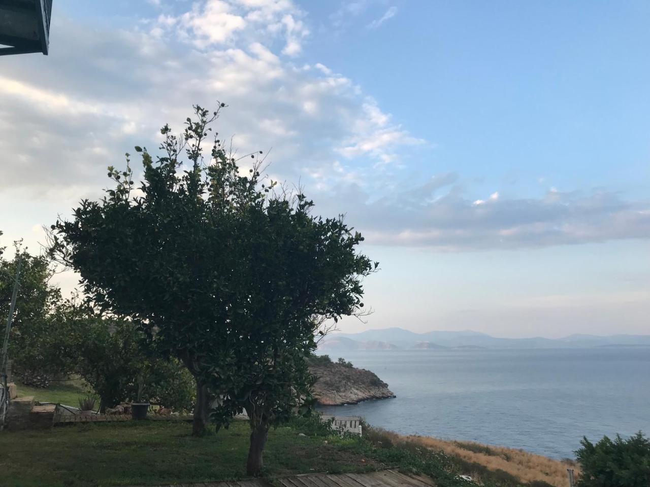 Villa Castle Sea View Parálion Ástros 외부 사진